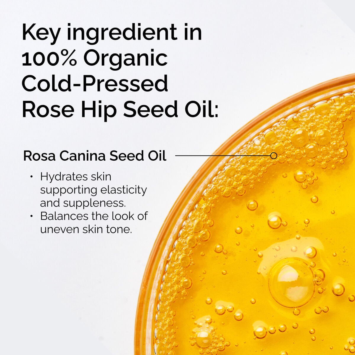 100-organic-cold-pressed-rose-hip-seed-oil-g1 FY25-D41247-ORD-Web-PDP-100-Rose-Hip-Oil-1x1-EN-2.jpg