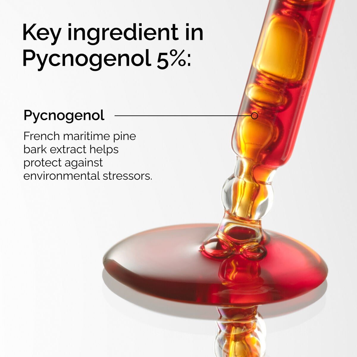 pycnogenol-5-k9 FY25-D41247-ORD-Web-PDP-Pyc-5pct-1x1-EN-2a.jpg