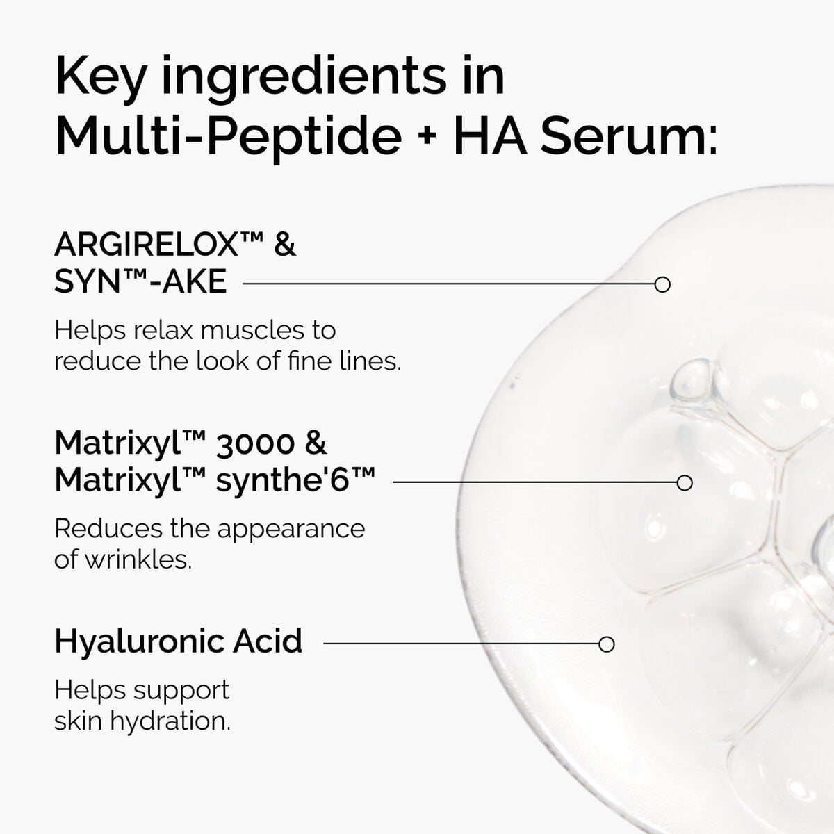 the-age-support-set-y1 ord-multi-peptide-ha-ingredients-graphic.jpg